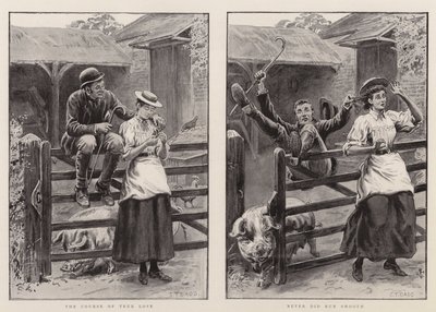Gerçek Aşkın Seyri, Asla Pürüzsüz Koşmadı by S.T. Dadd